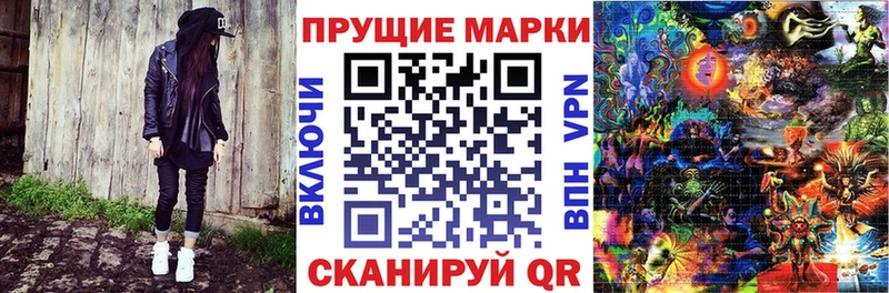 блэк спрут ССЫЛКА  Котельнич  Марки N-bome 1,8мг 